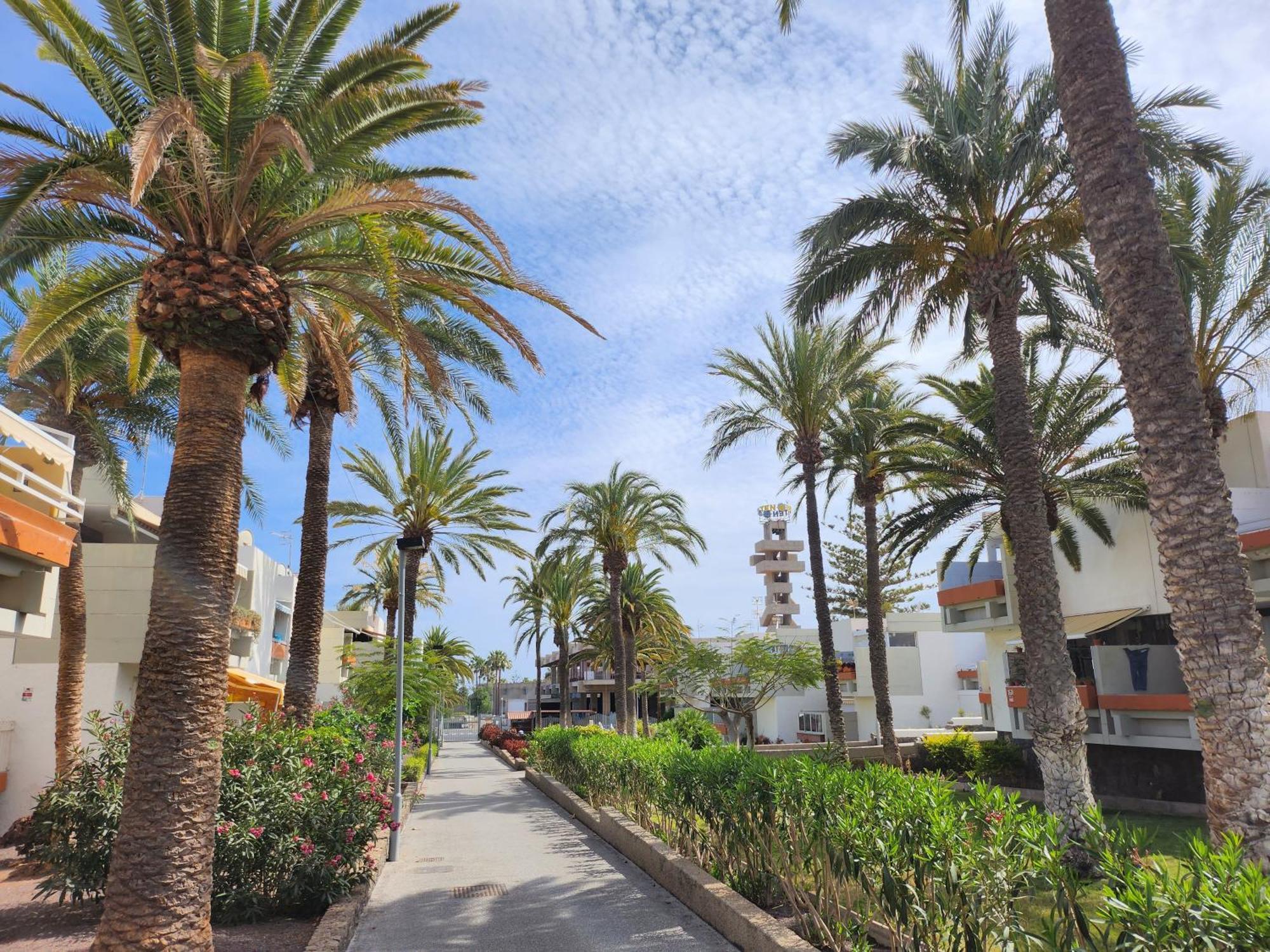 Tenerife Sunshine South Apartment Beach By La Ballena Arona  Exteriér fotografie