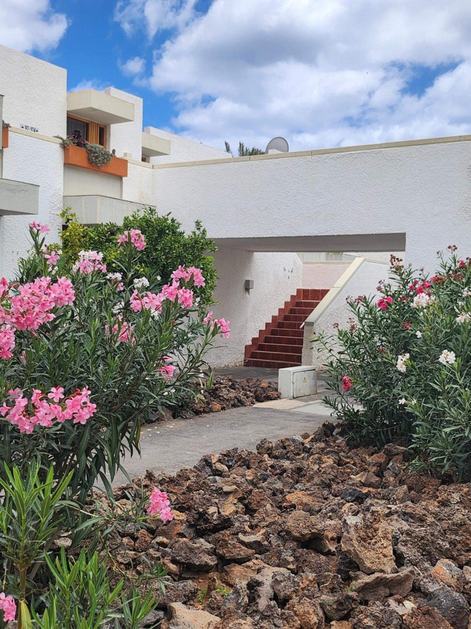 Tenerife Sunshine South Apartment Beach By La Ballena Arona  Exteriér fotografie