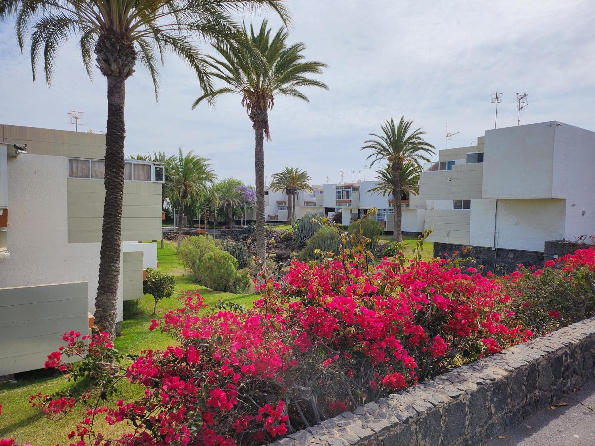 Tenerife Sunshine South Apartment Beach By La Ballena Arona  Exteriér fotografie